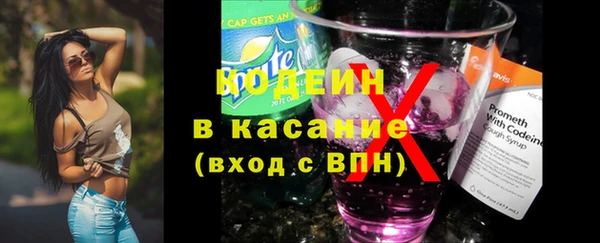 индика Медногорск