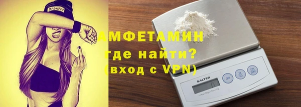 индика Медногорск