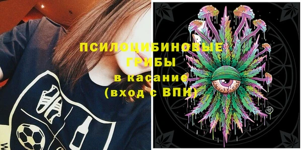 спайс Мегион
