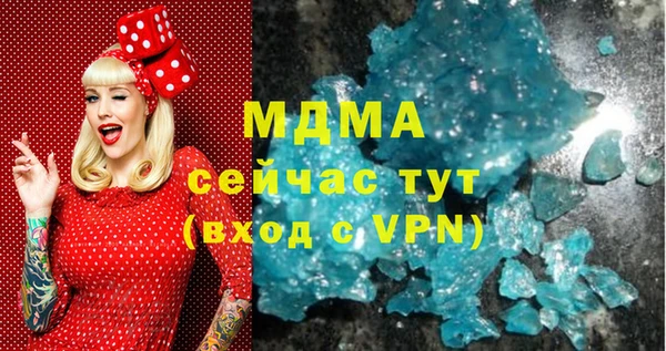 индика Медногорск