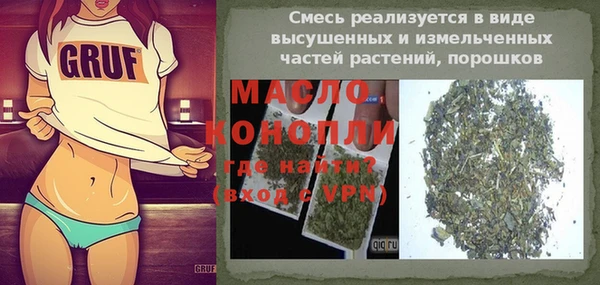 индика Медногорск