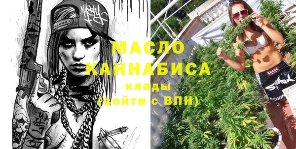 индика Медногорск