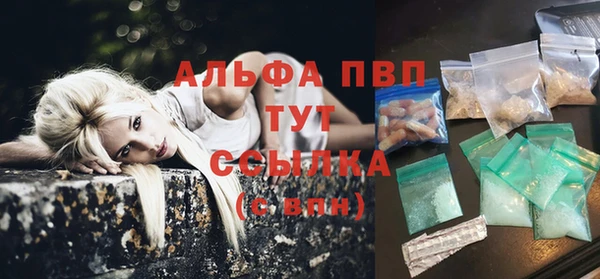 индика Медногорск