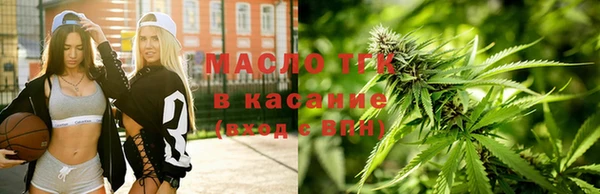 индика Медногорск