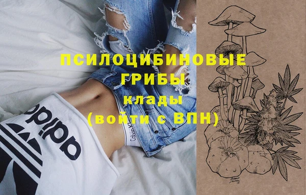 индика Медногорск