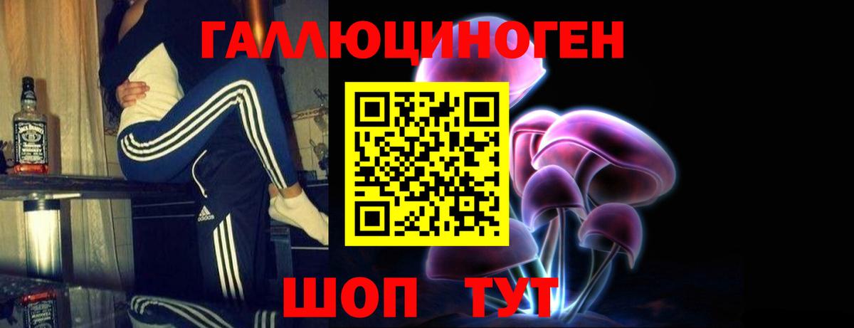 Псилоцибиновые грибы Psilocybe  Нягань 